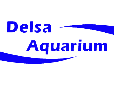 DELSA