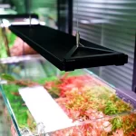 نور ال ای دی چهیروس اسلیم Chihiros WRGB II SLIM