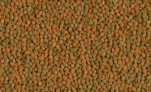 غذای ماهی Tetra Wafer Mix