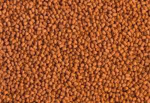 غذای ماهی سیکلید شریمپ استیکز تترا cichlid shrimp sticks