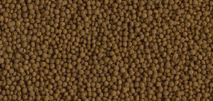 غذای ماهی تترا گلد فیش منو Tetra Goldfish Menu