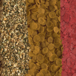 غذای ماهی تترا گلد فیش منو Tetra Goldfish Menu