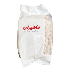 مدیای بایوسرامیکی فیلتر ماهیران مدل ML-2