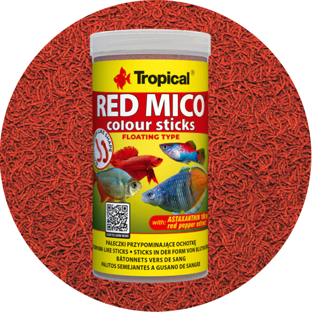 91m30IsvRIL._AC_UF1000,1000_QL80_