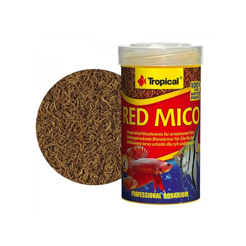 tropical red mico